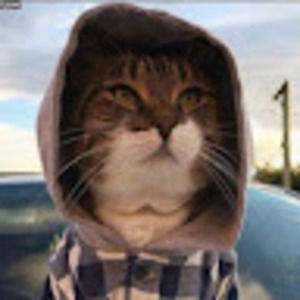 Meet your Posher, Dragon